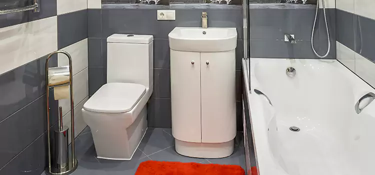 Hansgrohe Shaving Mirror Coconut Creek